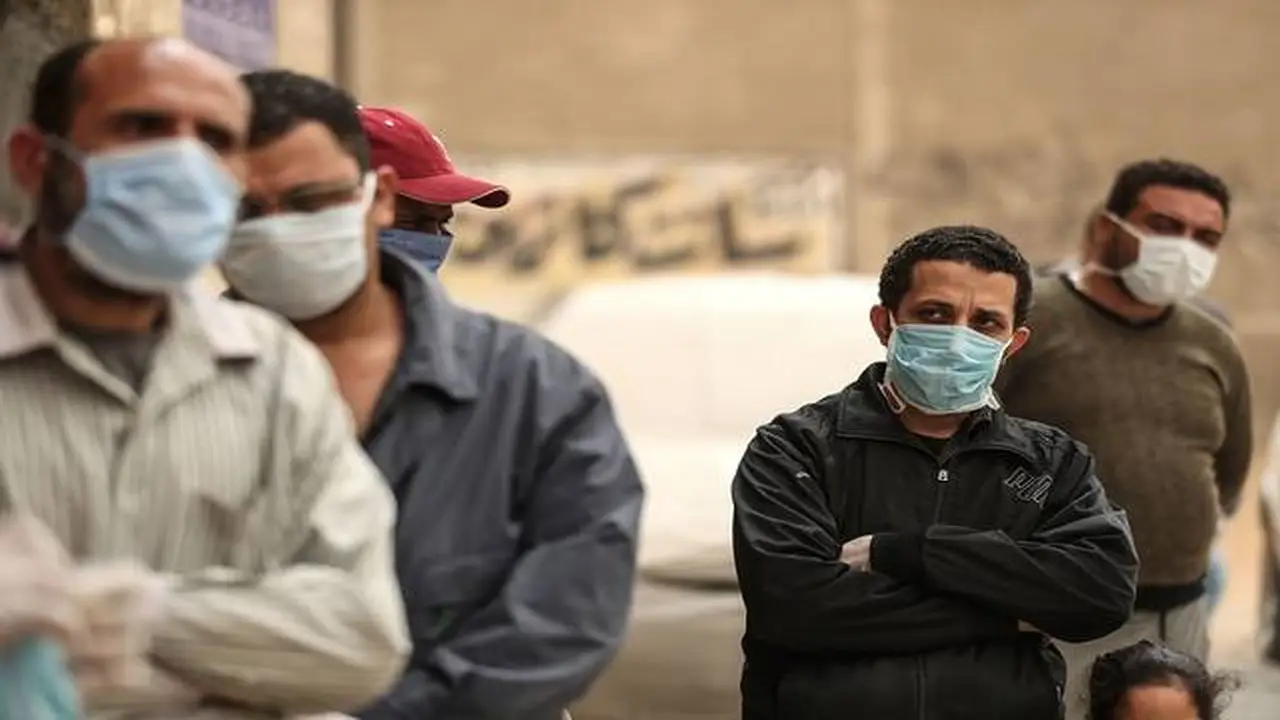 لا إصابات بفيروس “هانتا” في مصر وفقًا لمستشار الرئيس